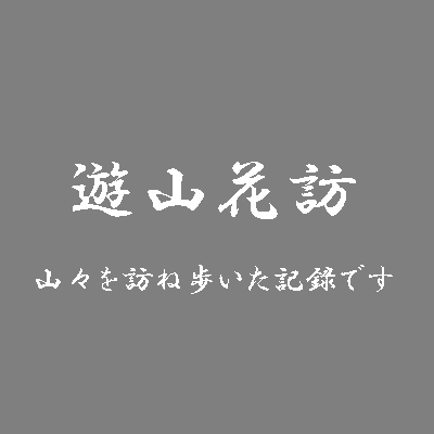 遊山花訪